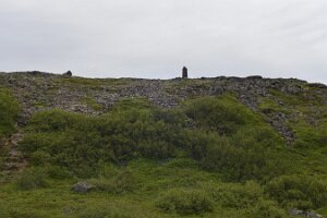 _DH83565