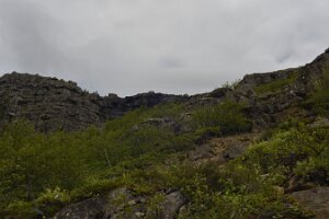 _DH83568
