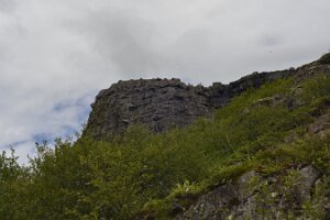 _DH83569