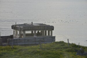 _DH83606
