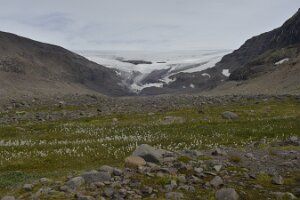 _DH83629