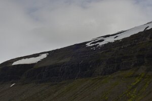 _DH83631