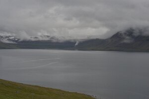 _DH83695