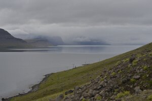 _DH83699