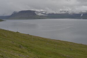 _DH83702
