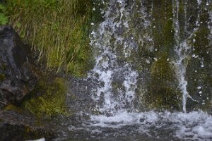 _DH83725