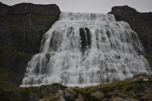 _DH83729