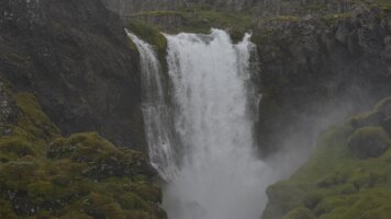 _DH83731