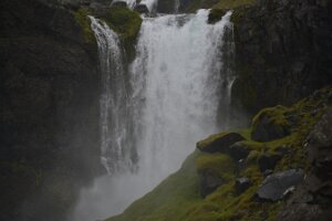 _DH83732