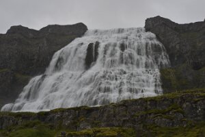 _DH83737
