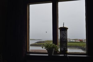 _DH83781