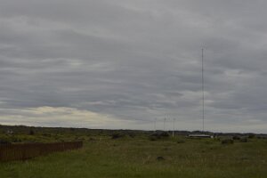 _DH83841