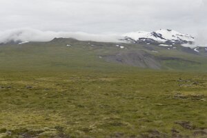 _DH83852
