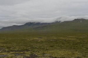 _DH83853