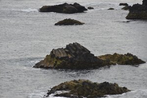 _DH83923