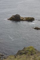 _DH83932
