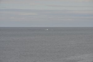 _DH83943
