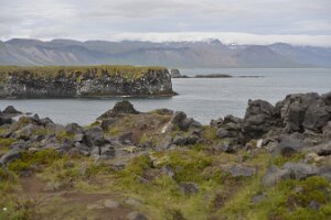 _DH83952