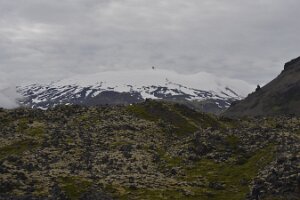 _DH83958