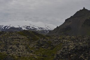 _DH83959