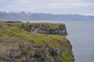 _DH83961