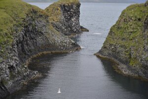_DH83978