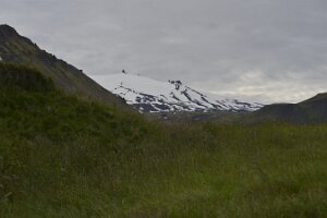 _DH83981