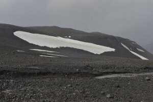 _DH84006