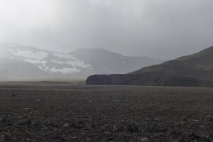 _DH84009