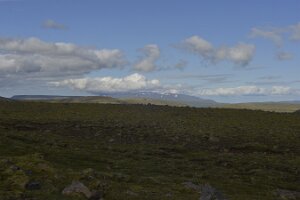 _DH84042
