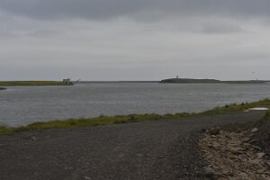 _DH84204