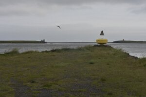 _DH84205