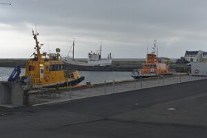 _DH84206