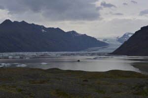 _DH84215