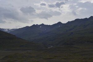 _DH84218