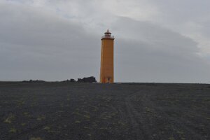 _DH84282