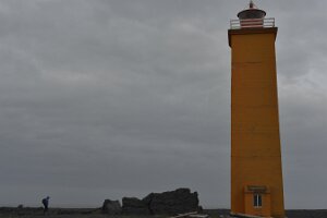 _DH84286