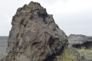_DH84289
