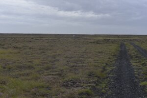 _DH84291