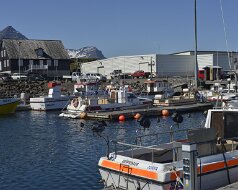216_Djupivogur