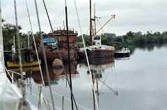 large00000427-85