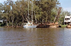 large00010428-63