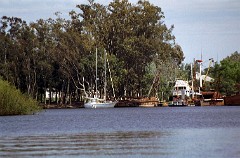 large00010428-67
