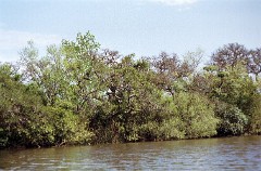 large00010428-72