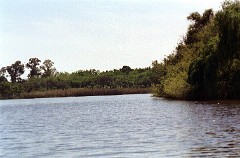 large00010428-74