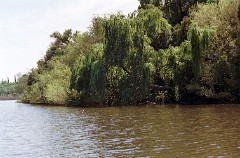 large00010428-75