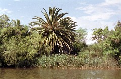 large00010428-76