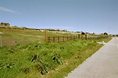 large00570414-73