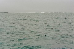 large00140423-52