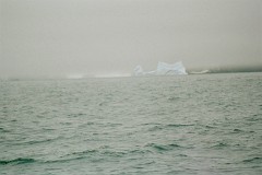 large00140423-53